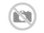 Лиатрис колосковый Флористан Виолетт / Liatris spicata Floristan Violett, С2